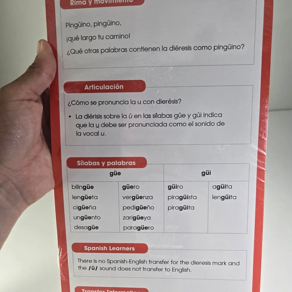 Benchmark Education Company Spanish Language Learning Flashcards  Vowel Sounds
